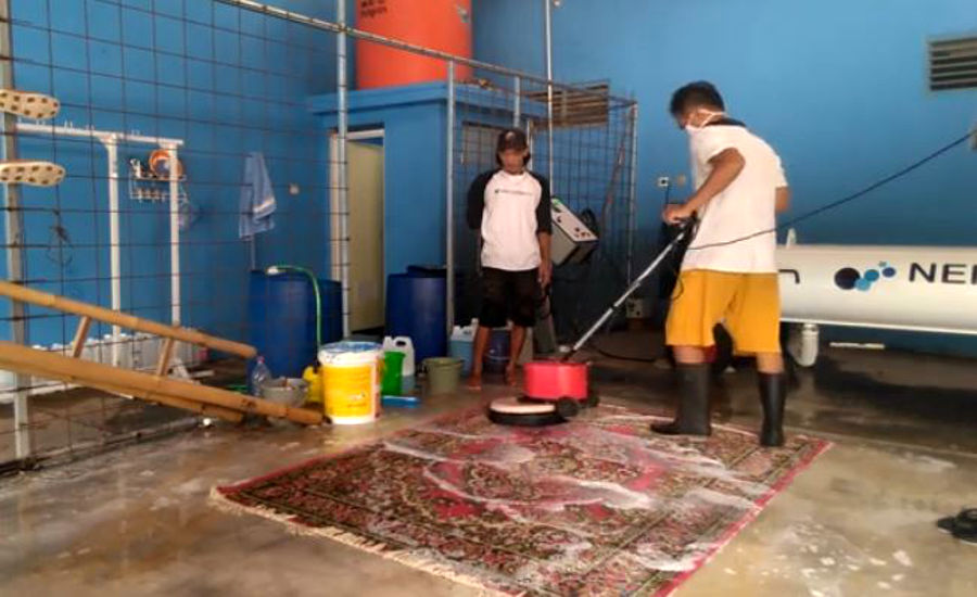 Proses pengerjaan laundry karpet| jasa laundry terbaik & lengkap di Purwokerto & Bandung mencakup jasa laundry kiloan, laundry satuan, laundry karpet laundry antar jemput, laundry springbed, laundry sofa, laundry jas, laundry bedcover, laundry boneka, laundry tas, laundry sepatu, dengan kualitas laundry premium dan laundry hotel, bersih, cepat, laundry express, laundry murah, di purwokerto & bandung